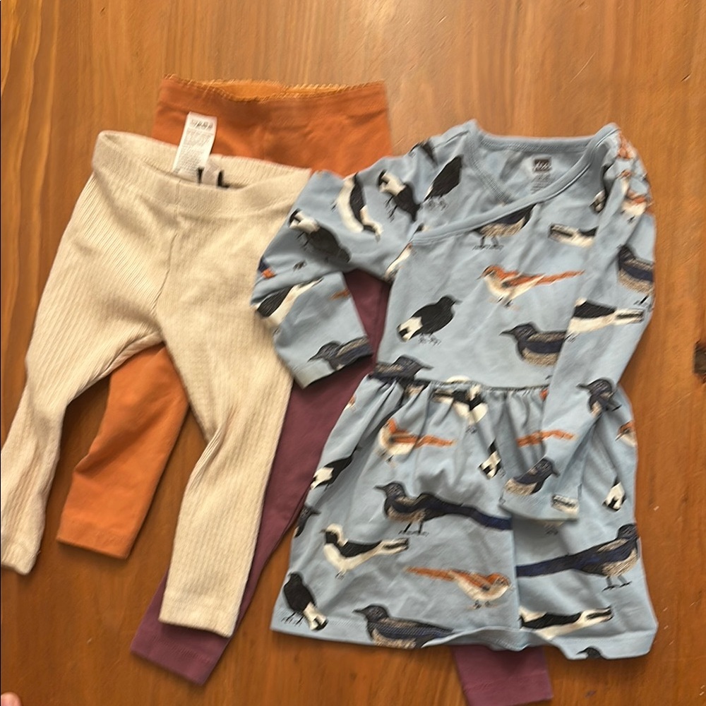 Tea Bird Print Dress with Leggings Set